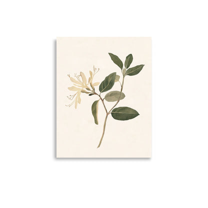 Graceful Simplicity: Watercolor Illustration of a Honeysuckle Stem