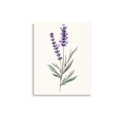 Lavender Serenity: Minimalist Watercolor of a Lavender Stem