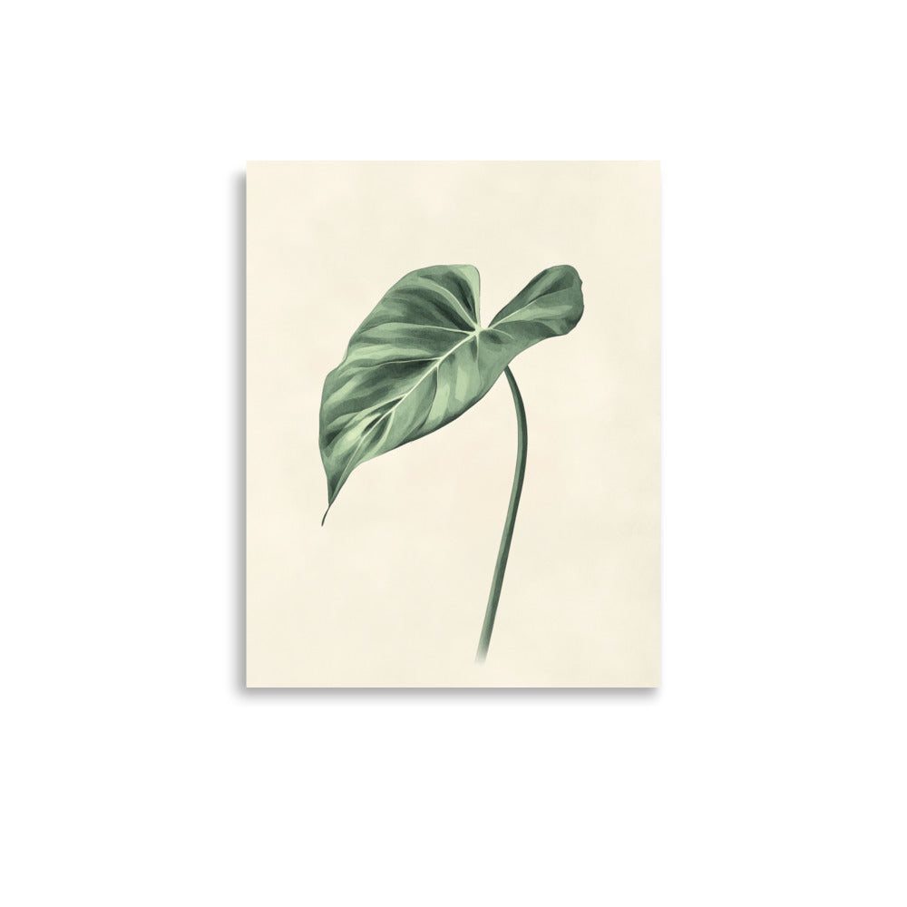 Verdant Grace: Minimalist Watercolor of a Split-Leaf Philodendron