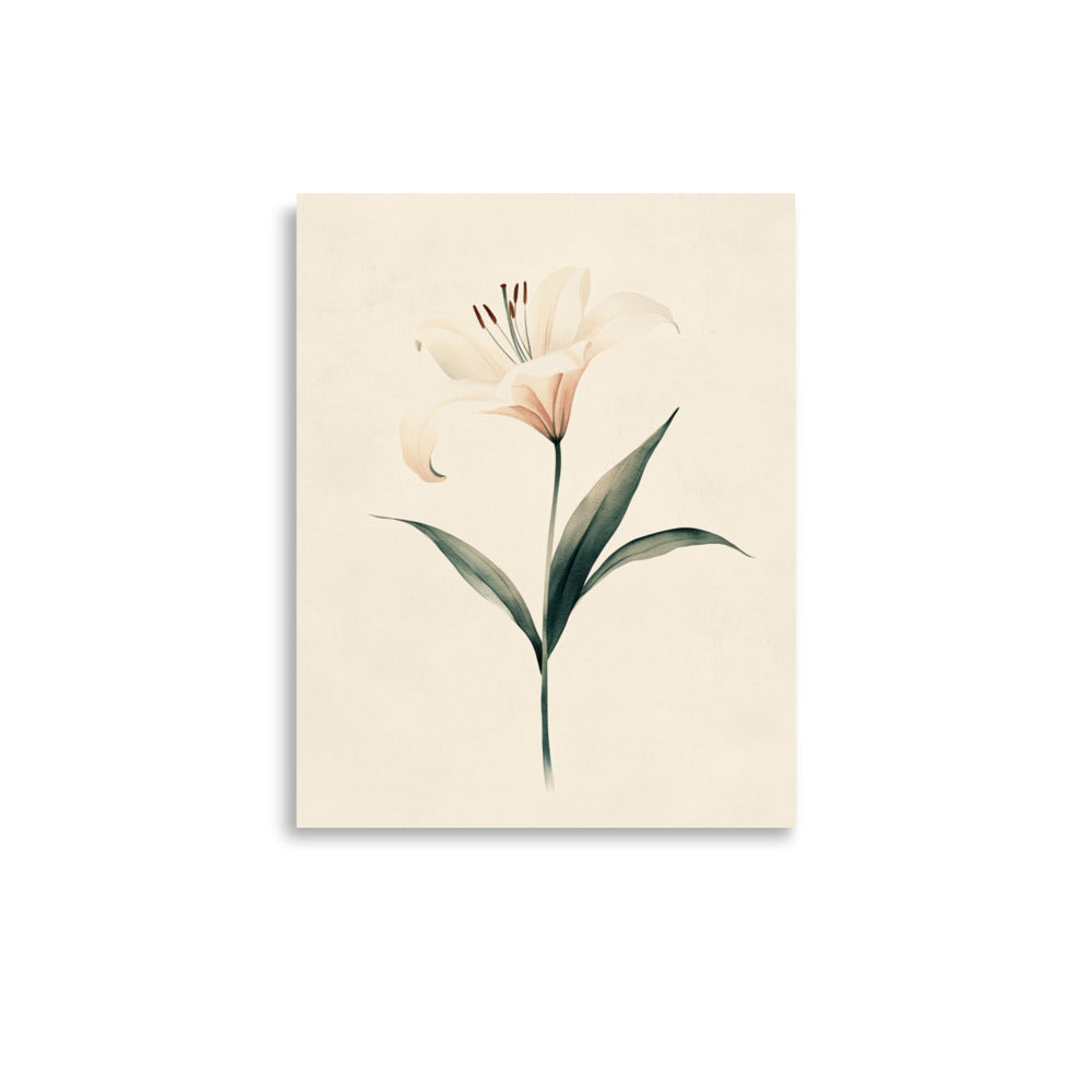 Timeless Grace: Minimalist Watercolor of a Lily in Bloom