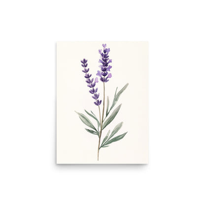 Lavender Serenity: Minimalist Watercolor of a Lavender Stem