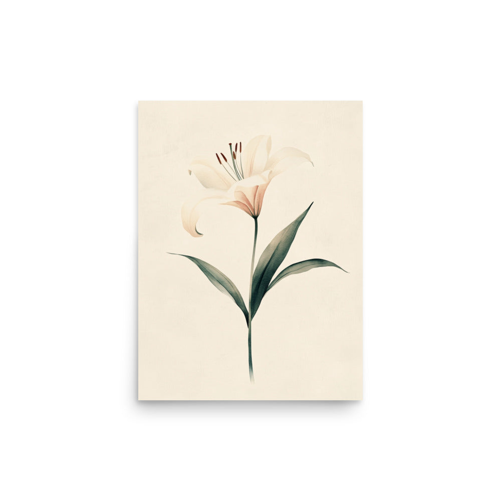 Timeless Grace: Minimalist Watercolor of a Lily in Bloom