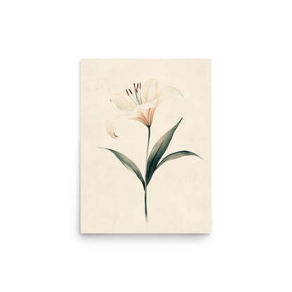 Timeless Grace: Minimalist Watercolor of a Lily in Bloom