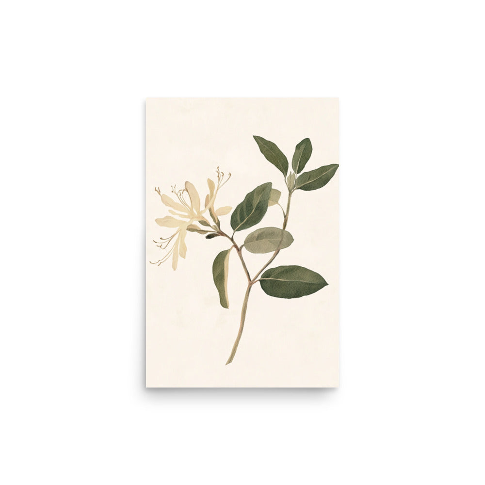 Graceful Simplicity: Watercolor Illustration of a Honeysuckle Stem