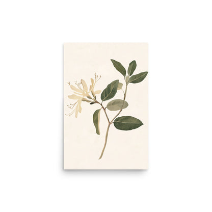 Graceful Simplicity: Watercolor Illustration of a Honeysuckle Stem