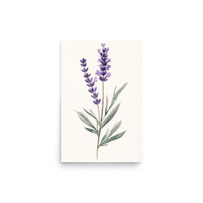 Lavender Serenity: Minimalist Watercolor of a Lavender Stem