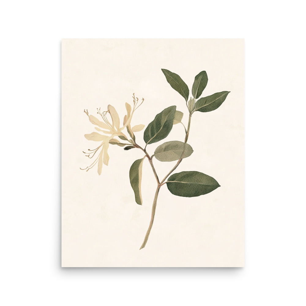 Graceful Simplicity: Watercolor Illustration of a Honeysuckle Stem