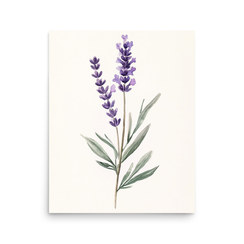 Lavender Serenity: Minimalist Watercolor of a Lavender Stem