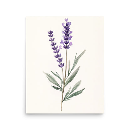 Lavender Serenity: Minimalist Watercolor of a Lavender Stem