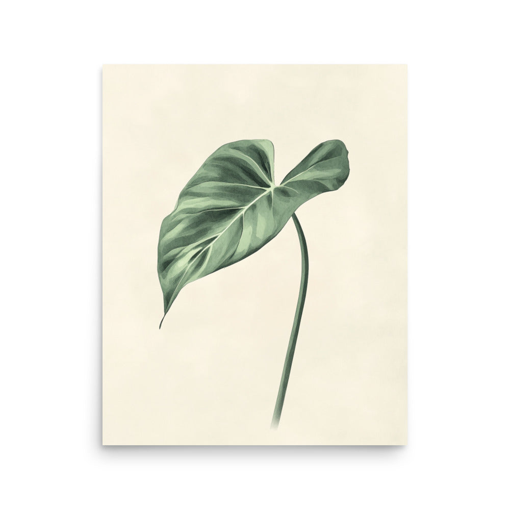 Verdant Grace: Minimalist Watercolor of a Split-Leaf Philodendron