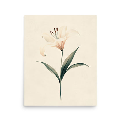 Timeless Grace: Minimalist Watercolor of a Lily in Bloom