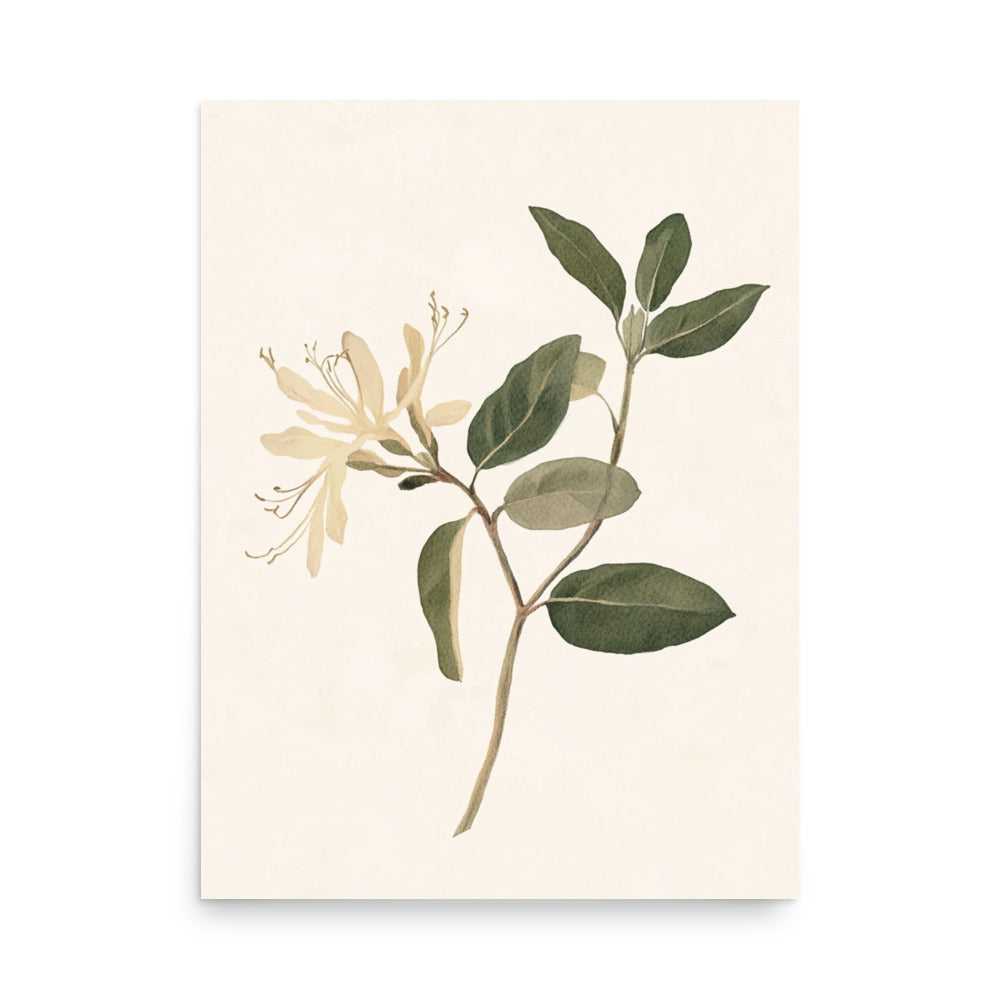 Graceful Simplicity: Watercolor Illustration of a Honeysuckle Stem