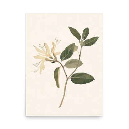 Graceful Simplicity: Watercolor Illustration of a Honeysuckle Stem