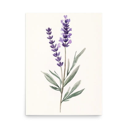 Lavender Serenity: Minimalist Watercolor of a Lavender Stem