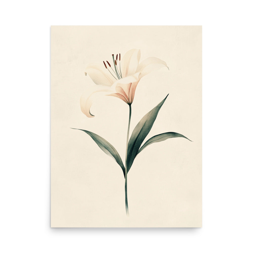 Timeless Grace: Minimalist Watercolor of a Lily in Bloom