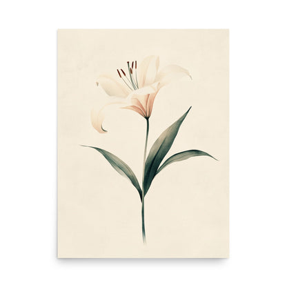 Timeless Grace: Minimalist Watercolor of a Lily in Bloom