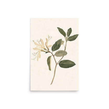 Graceful Simplicity: Watercolor Illustration of a Honeysuckle Stem