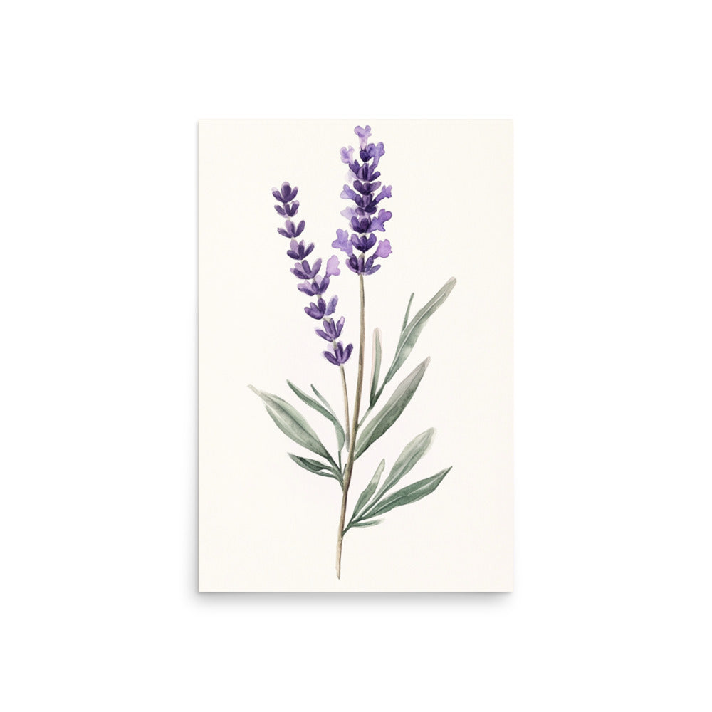 Lavender Serenity: Minimalist Watercolor of a Lavender Stem