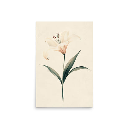 Timeless Grace: Minimalist Watercolor of a Lily in Bloom