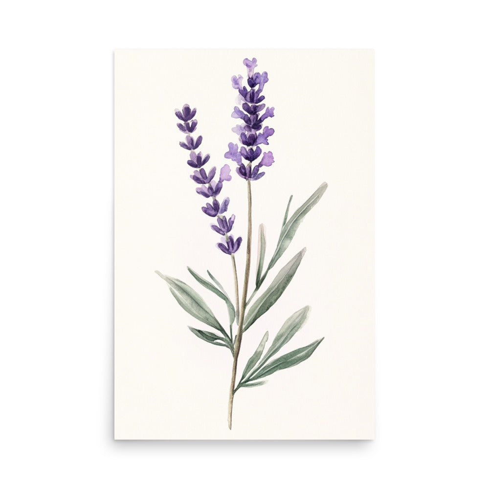 Lavender Serenity: Minimalist Watercolor of a Lavender Stem