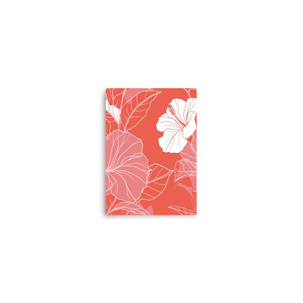 Coral Elegance - Pink and White Hibiscus Line Art