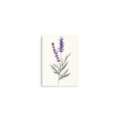 Lavender Serenity: Minimalist Watercolor of a Lavender Stem