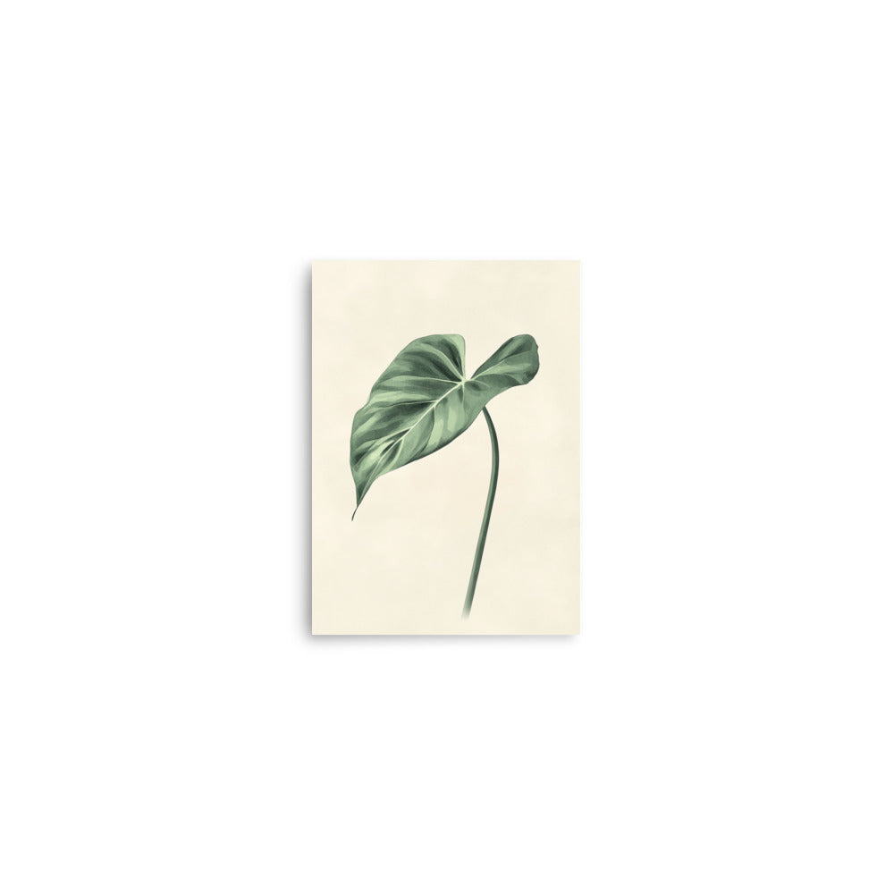 Verdant Grace: Minimalist Watercolor of a Split-Leaf Philodendron