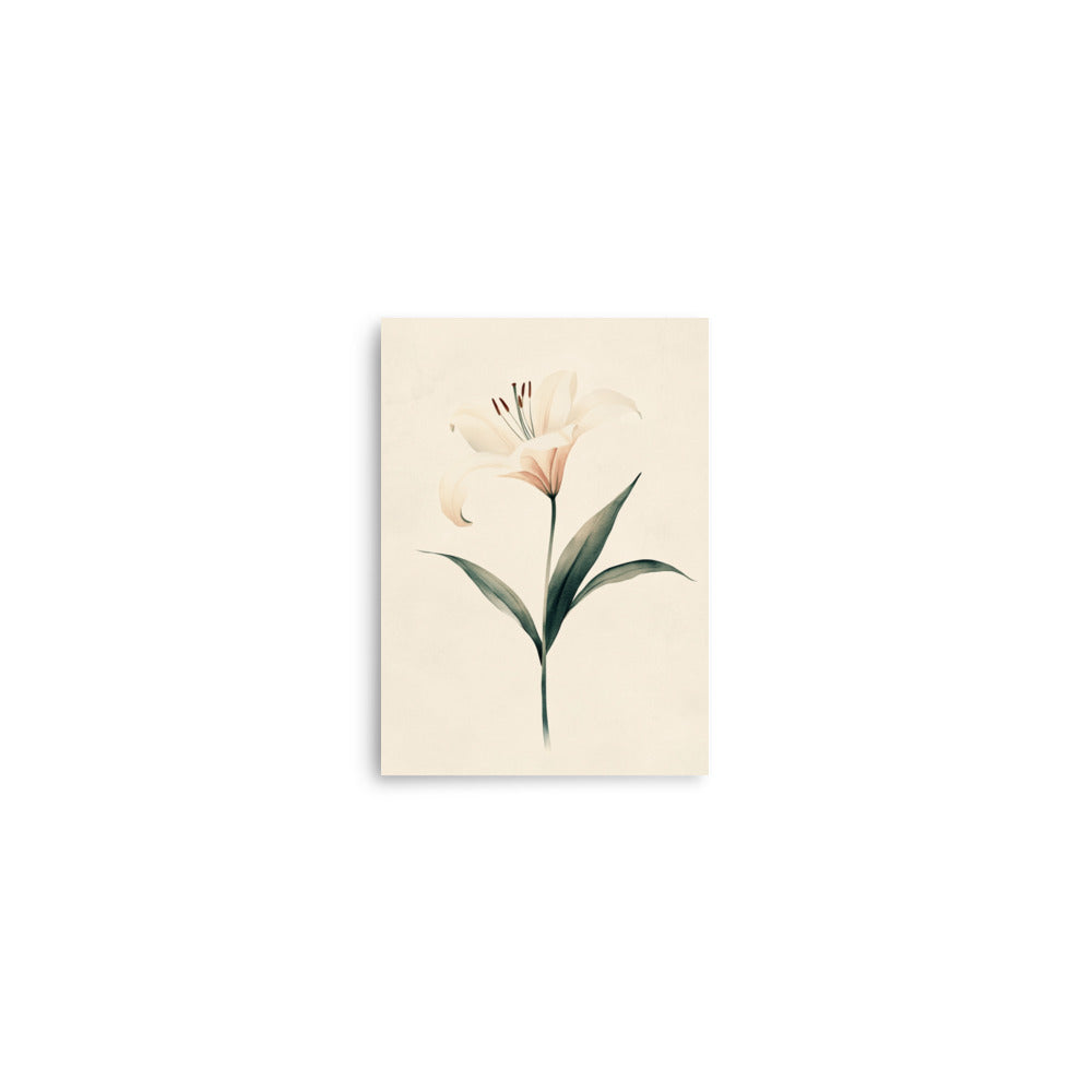 Timeless Grace: Minimalist Watercolor of a Lily in Bloom