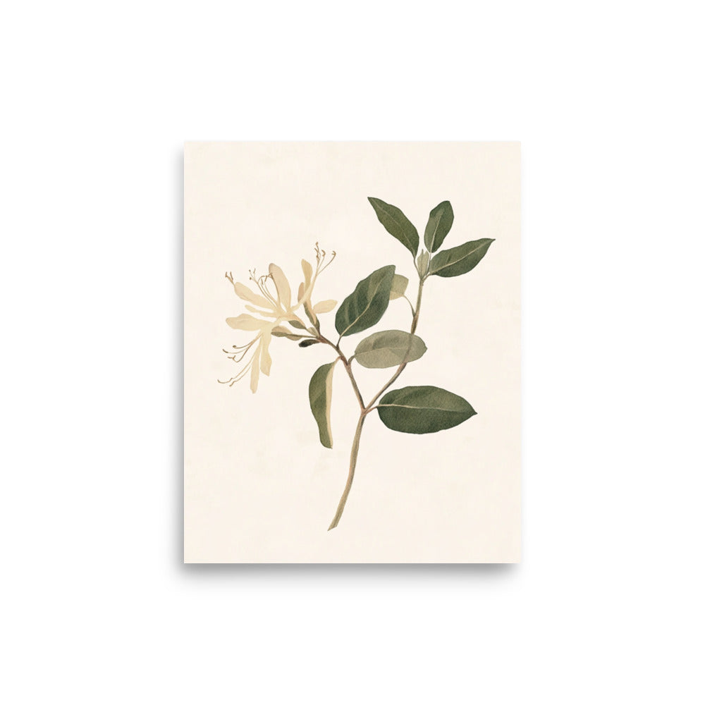 Graceful Simplicity: Watercolor Illustration of a Honeysuckle Stem