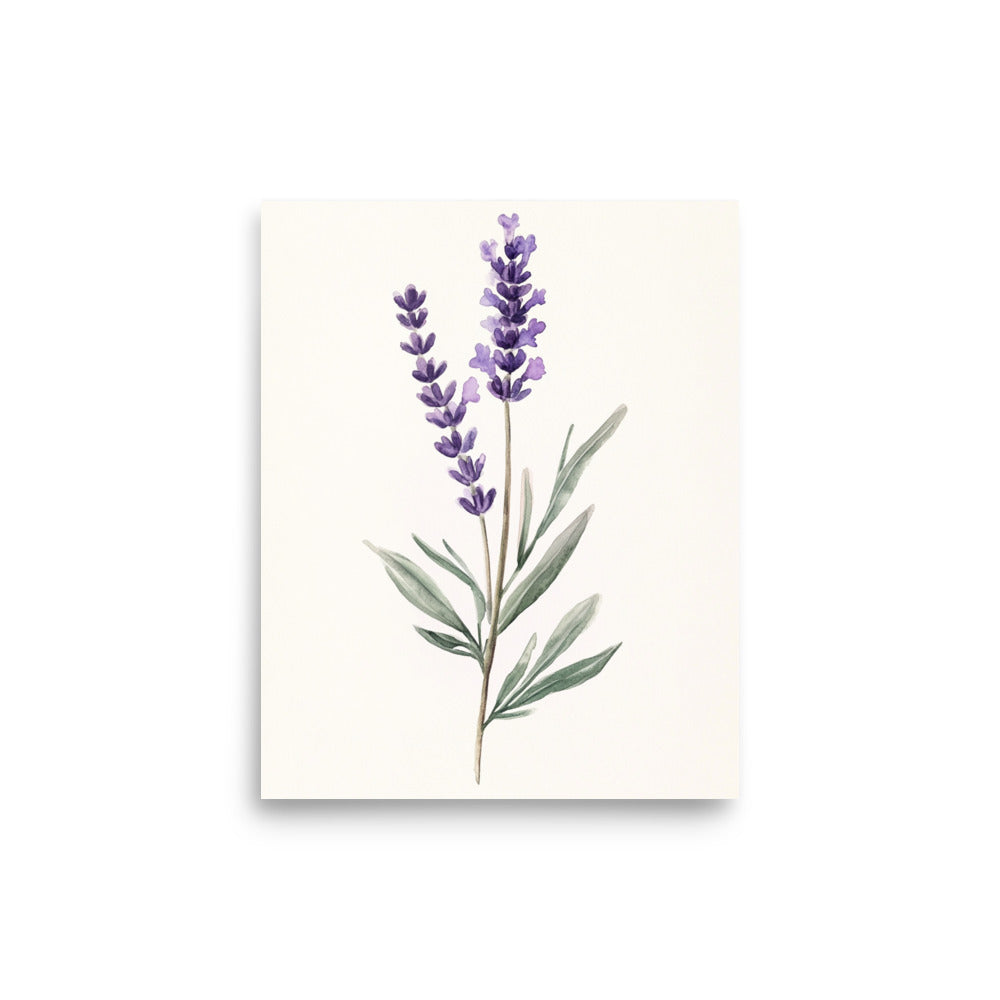 Lavender Serenity: Minimalist Watercolor of a Lavender Stem