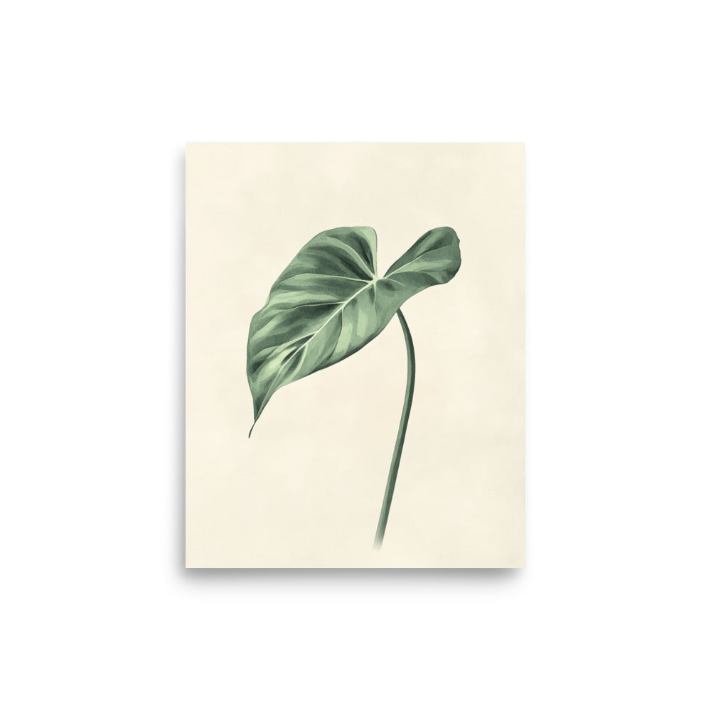 Verdant Grace: Minimalist Watercolor of a Split-Leaf Philodendron