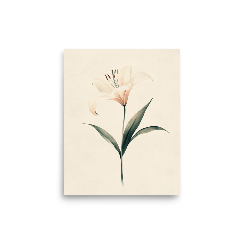 Timeless Grace: Minimalist Watercolor of a Lily in Bloom